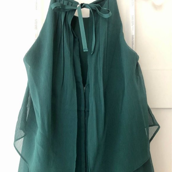 NEW Never Worn Chiffon Sheath Formal Dress - Picture 7 of 8